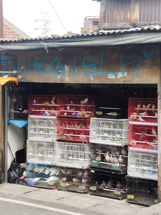 Jatinegara Animals Market