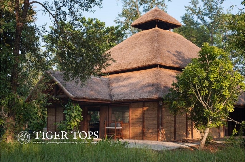 Tiger Tops