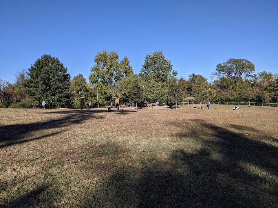 Shelby Dog Park