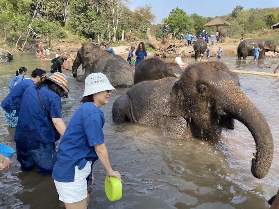 Living green Elephant Sanctuary camp 2