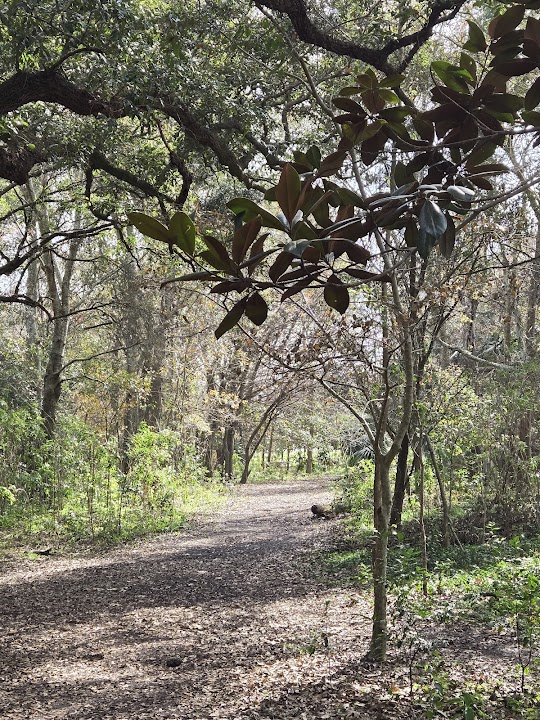 Couturie Forest Main Entrance