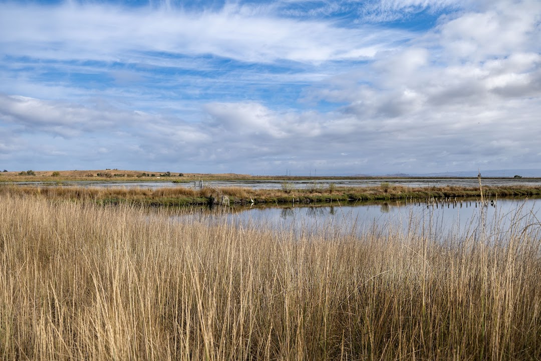 Palo Alto Baylands Nature Preserve Trail