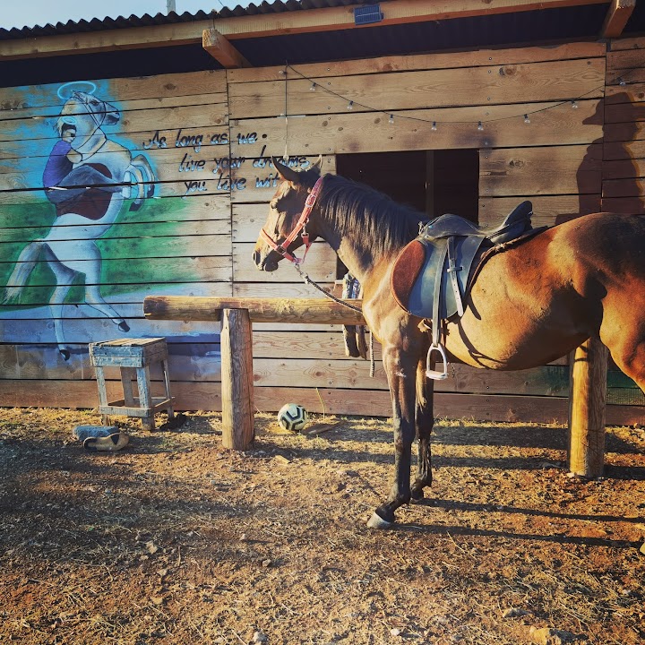 Ranch Horse Family