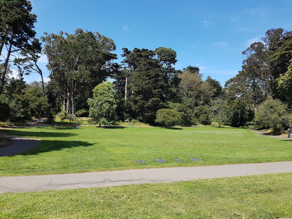 Peacock Meadow
