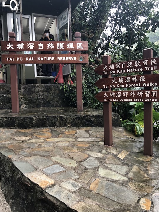 Tai Po Kau Nature Reserve