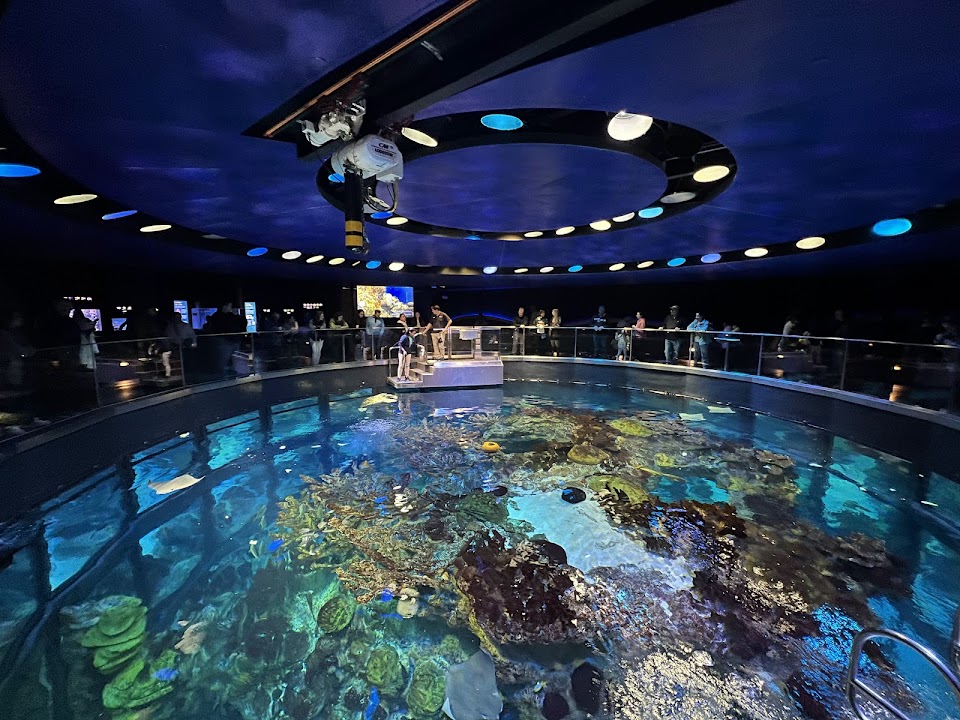New England Aquarium — Boston experience