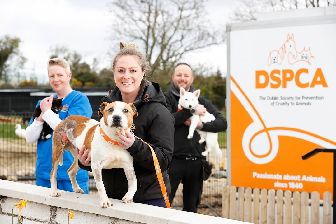 DSPCA