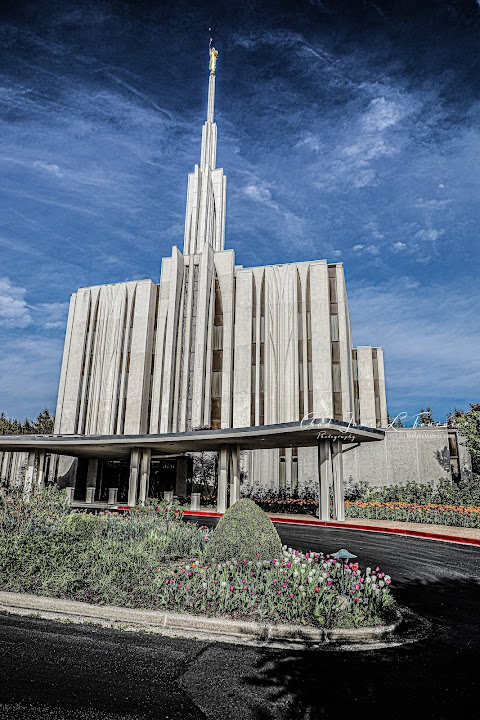Seattle Washington Temple — Seattle experience