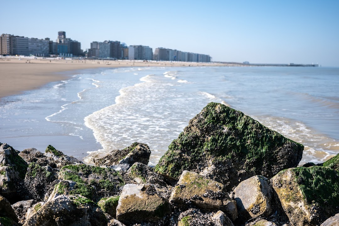 Strand Blankenberge