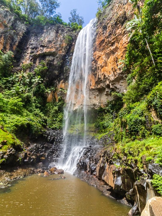 Springbrook National Park