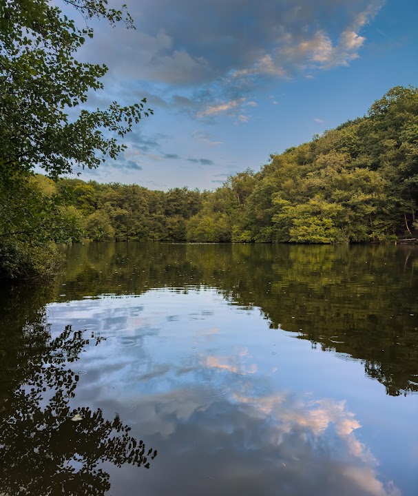 Forêt domaniale de Meudon