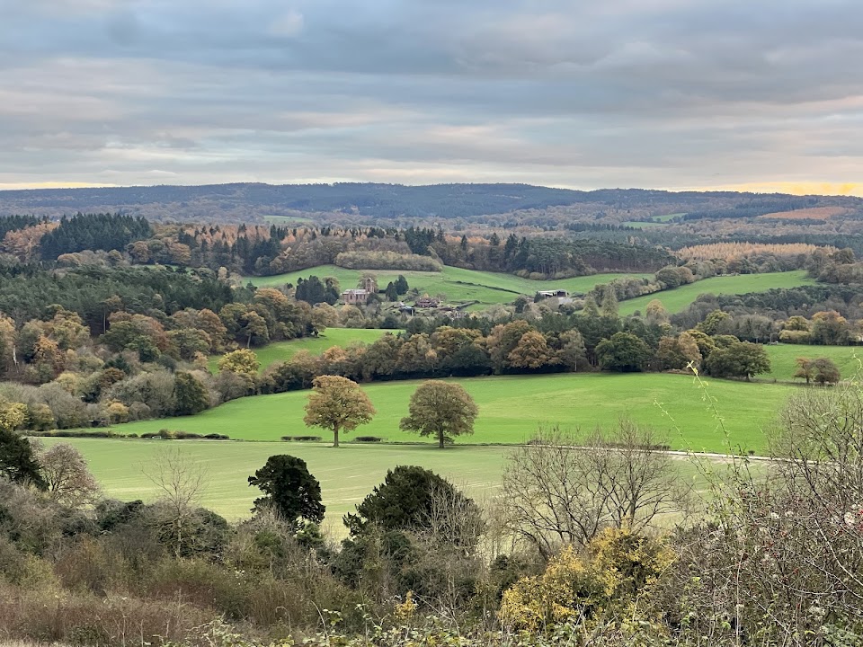 Newlands Corner