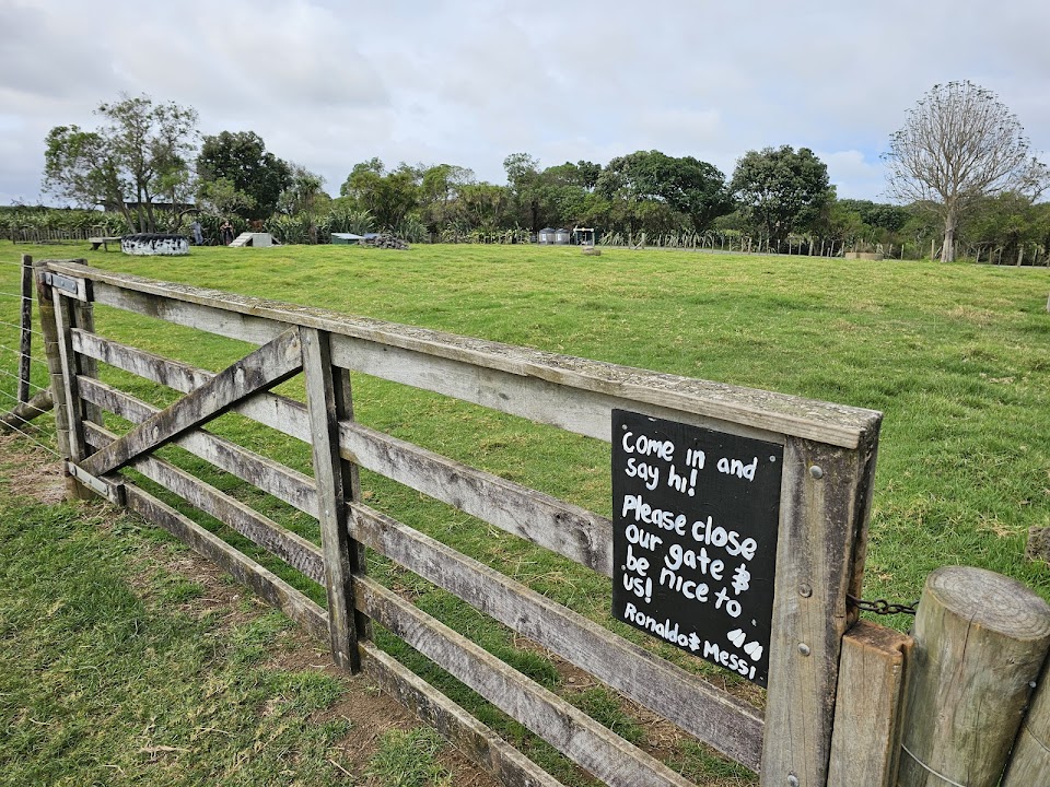 Ambury Regional Park