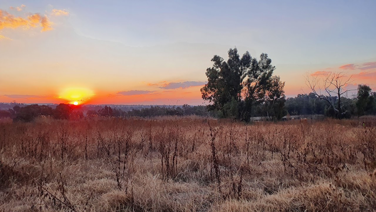 Modderfontein Reserve