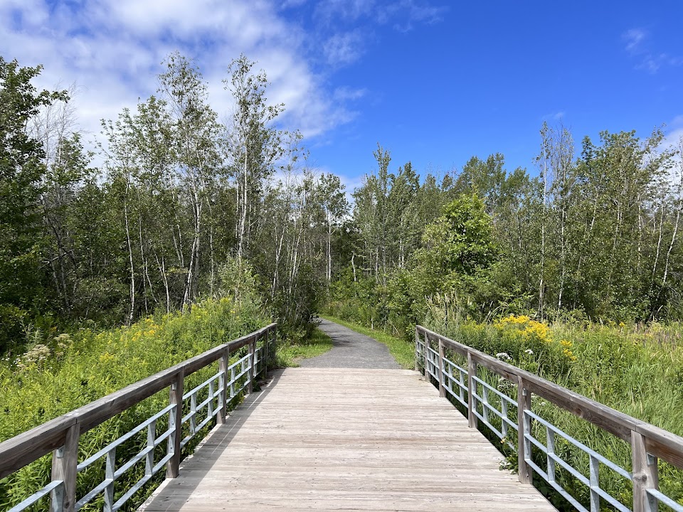 Tremblay Woodlands