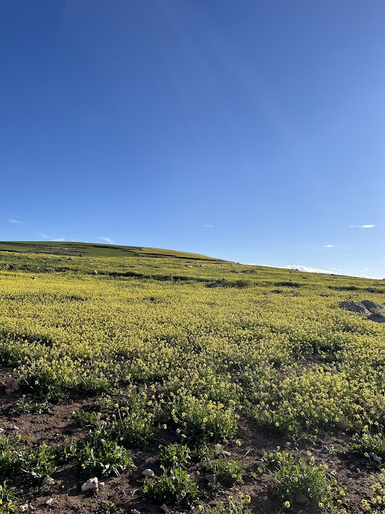 PLATEAU DE KIK