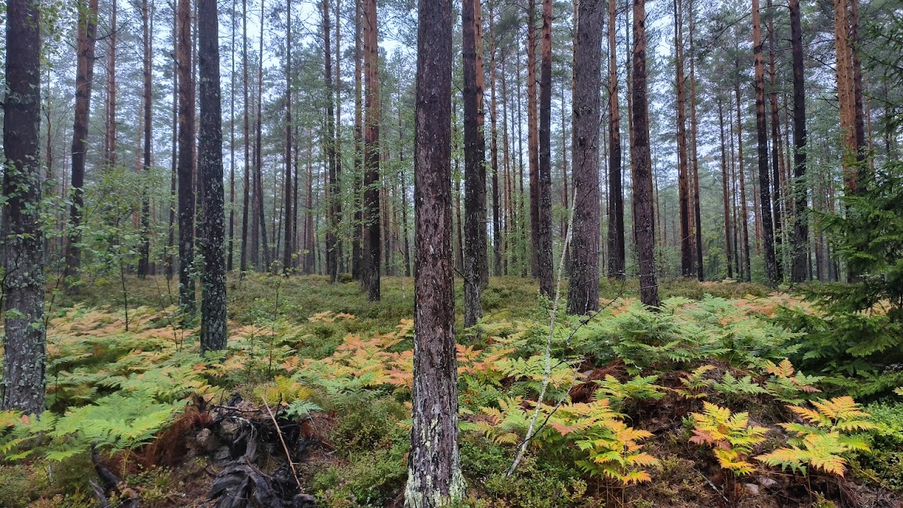 Bogesundslandets naturreservat