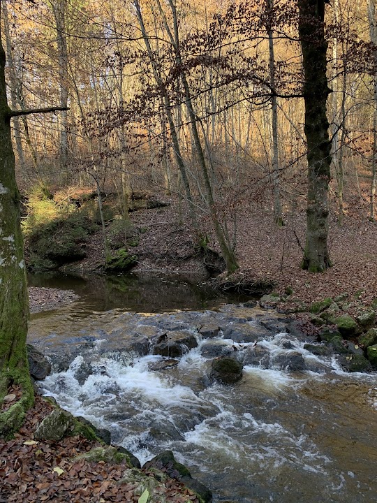 Maisinger Schlucht