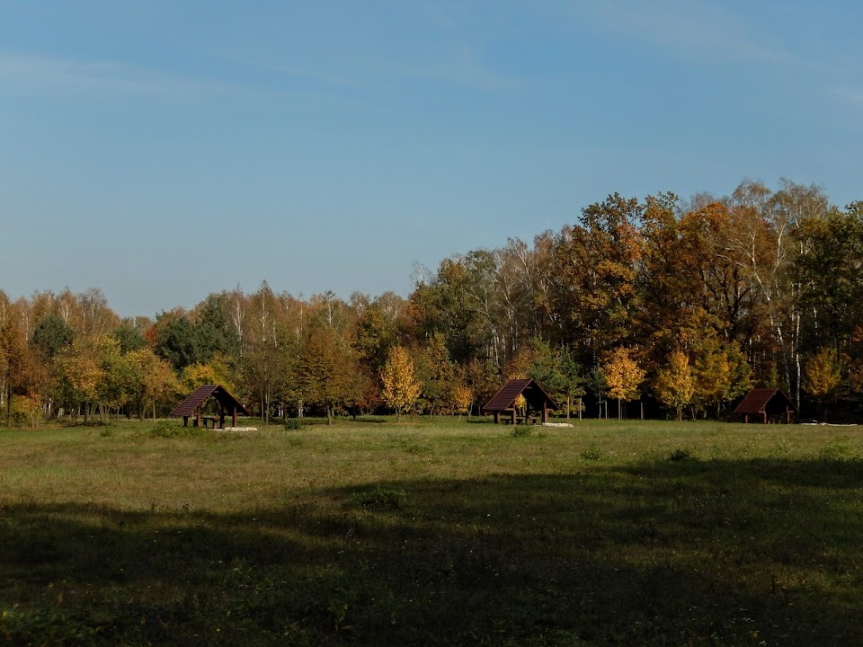 Polana Opaleń