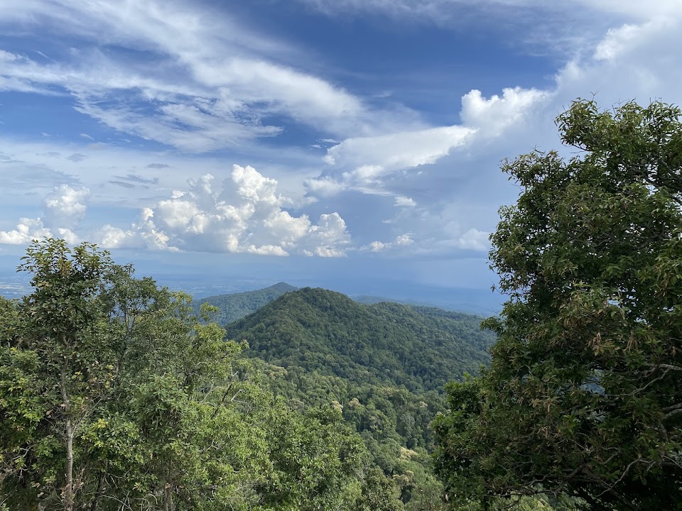 Doi Khun Tan Summit (1373m elevation)