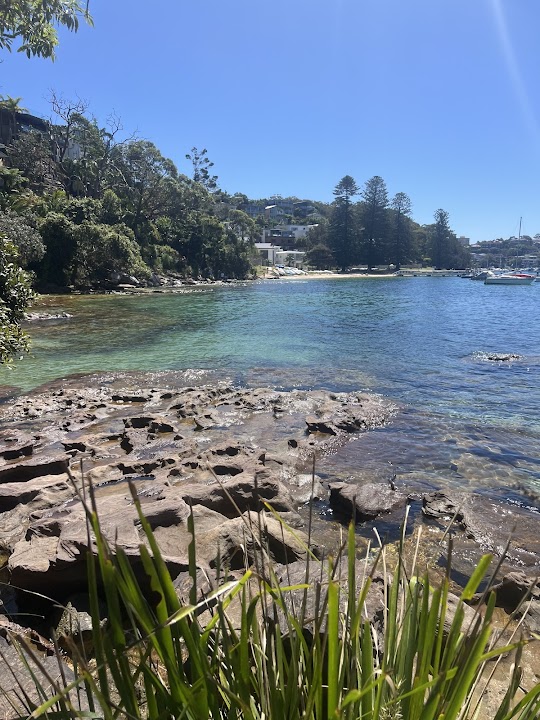 Manly To Spit Bridge Coastal Walk