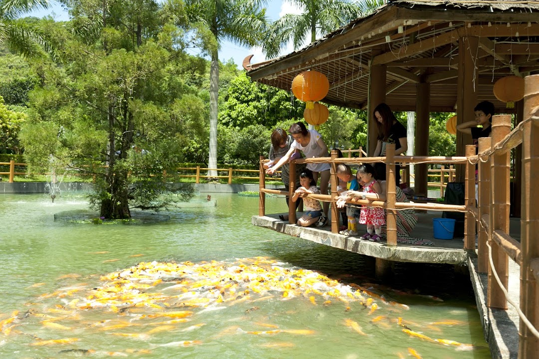Tai Tong Organic EcoPark