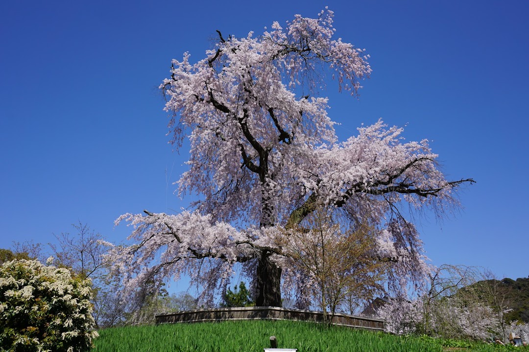 Maruyama Park