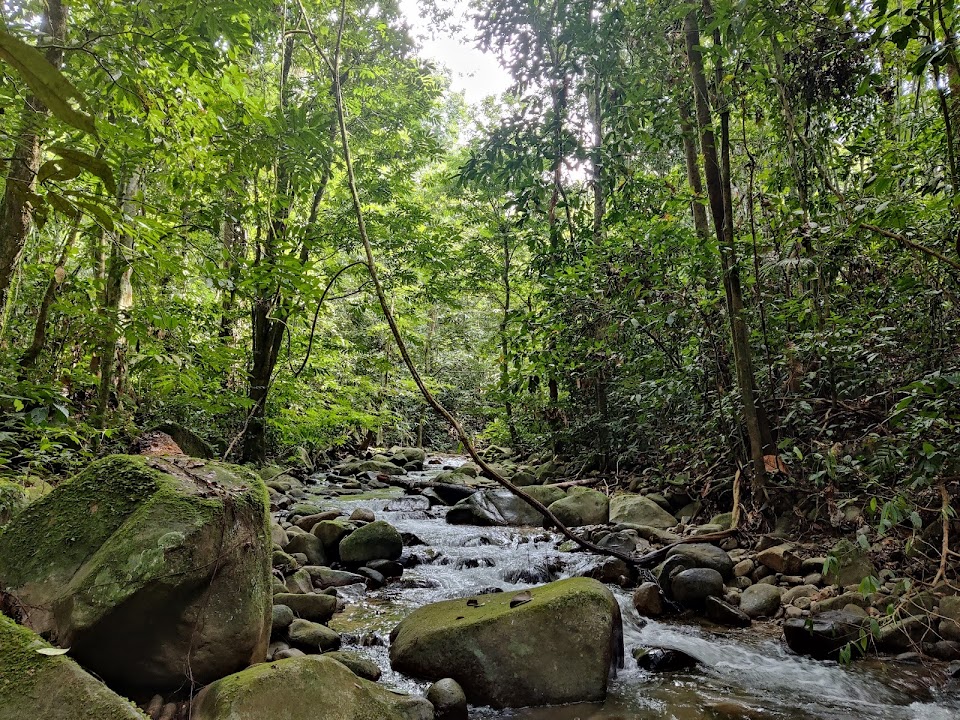 Sungai Congkak Recreational Forest