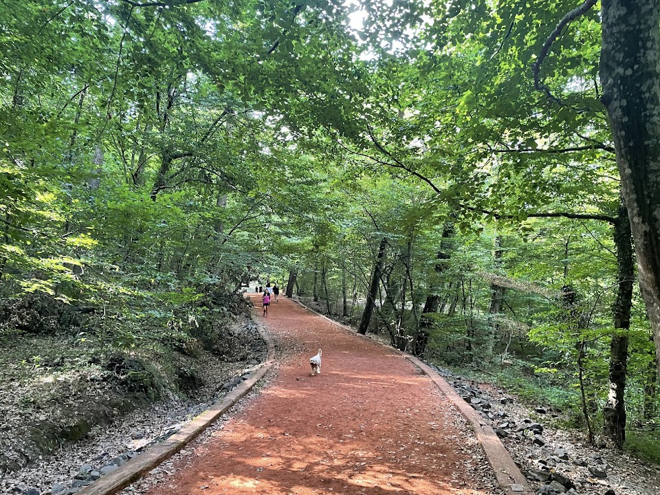 Belgrad Ormanı Koşu Parkuru