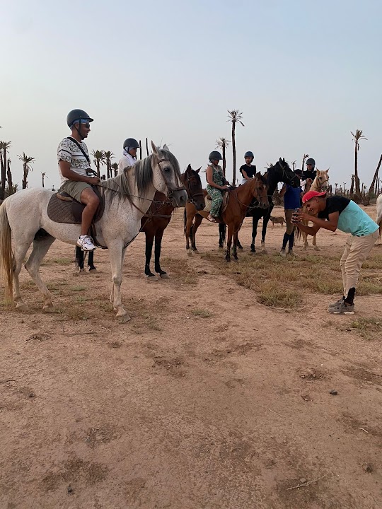 Cheval Bab Atlas Marrakech