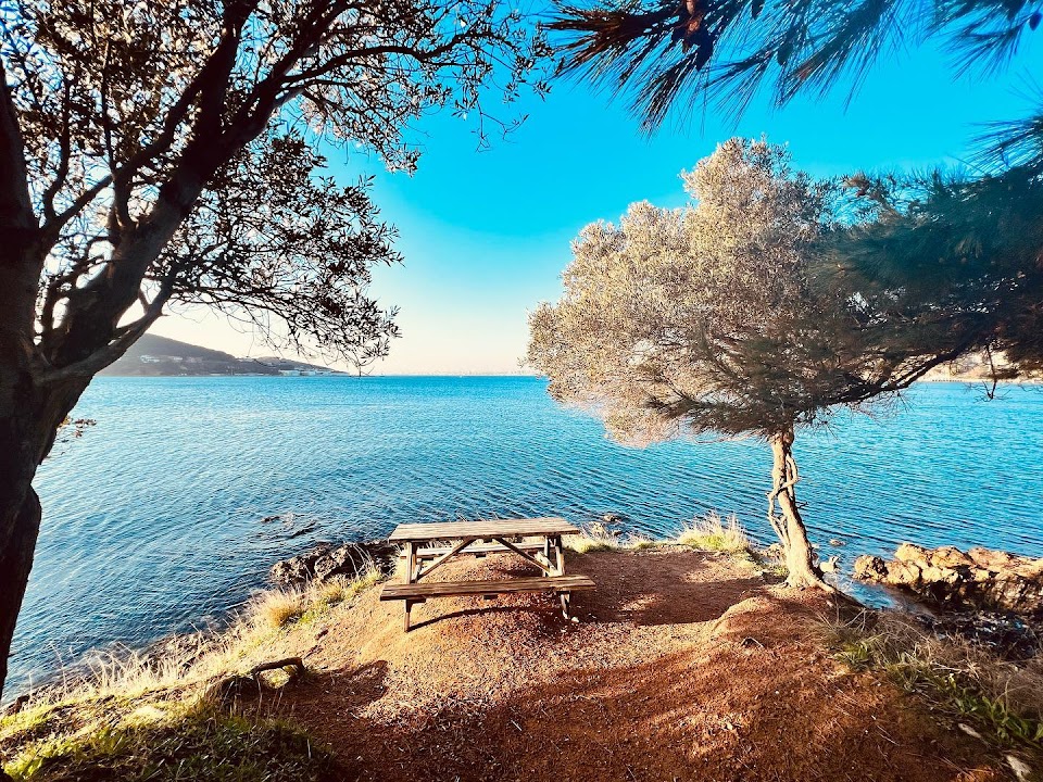 Dilburnu.Thorn Picnic Area