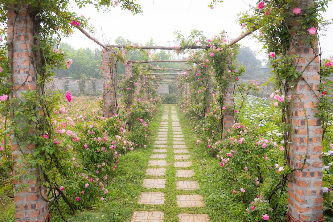An Rose Farm
