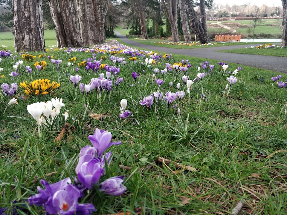 Cabinteely Park