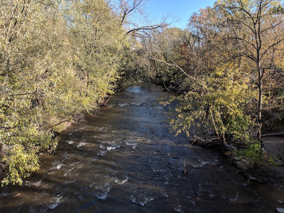 Irene C. Hernandez Family Picnic Grove