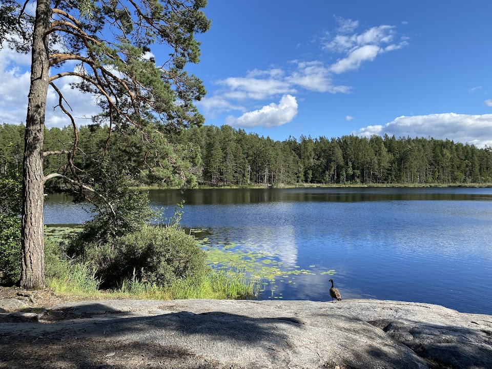 Tyresta Nationalpark, Hällmarksslingan