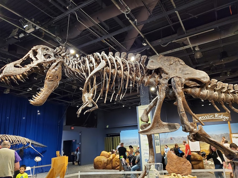 Orlando Science Center