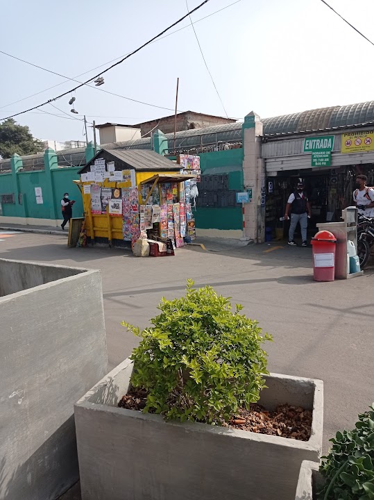 Magdalena market