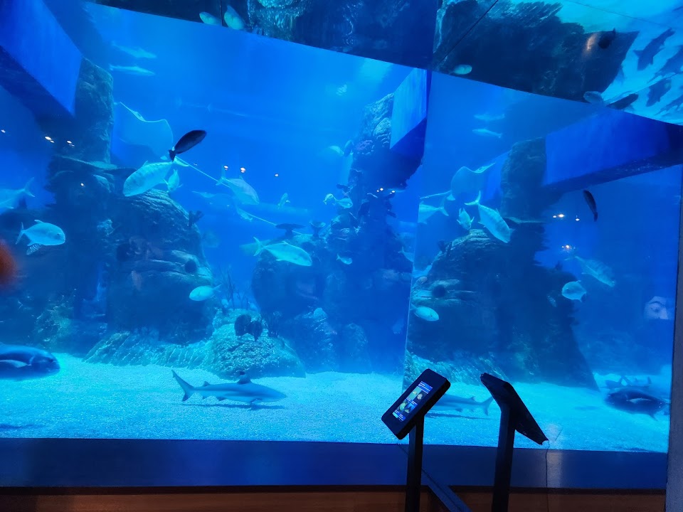Jakarta AQuarium Safari