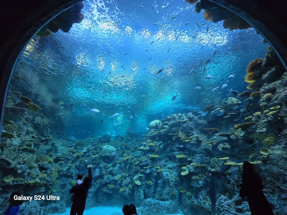 Seattle Aquarium Ocean Pavilion