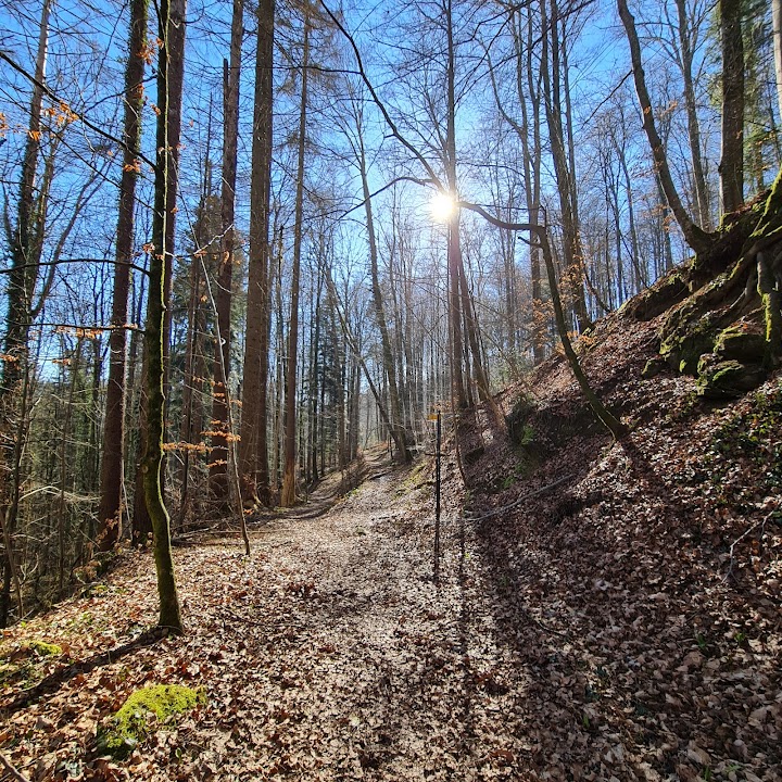 Sihlwald