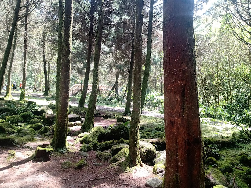 Alto San Miguel