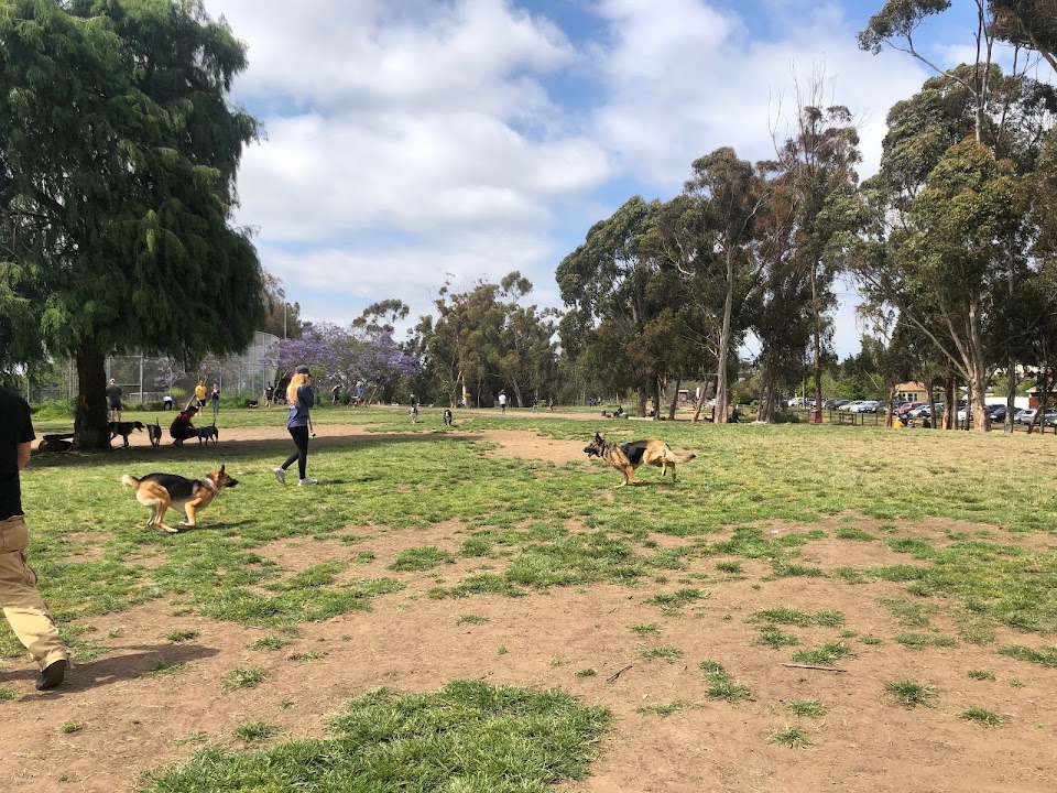 Grape Street Dog Park