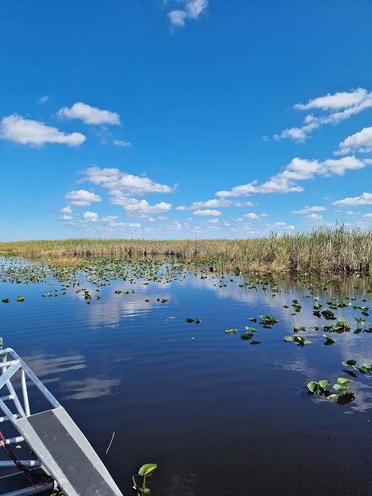 Buffalo Tiger's Airboat Tours