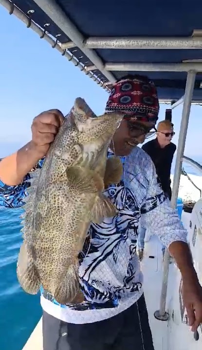Ravan Fishing Trips رافان لرحلات صيد الاسماك