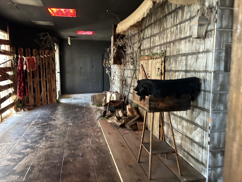 Lara's Labyrinth — San Diego experience