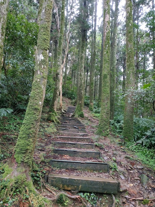 Yuanyanggu Forest Recreation Area