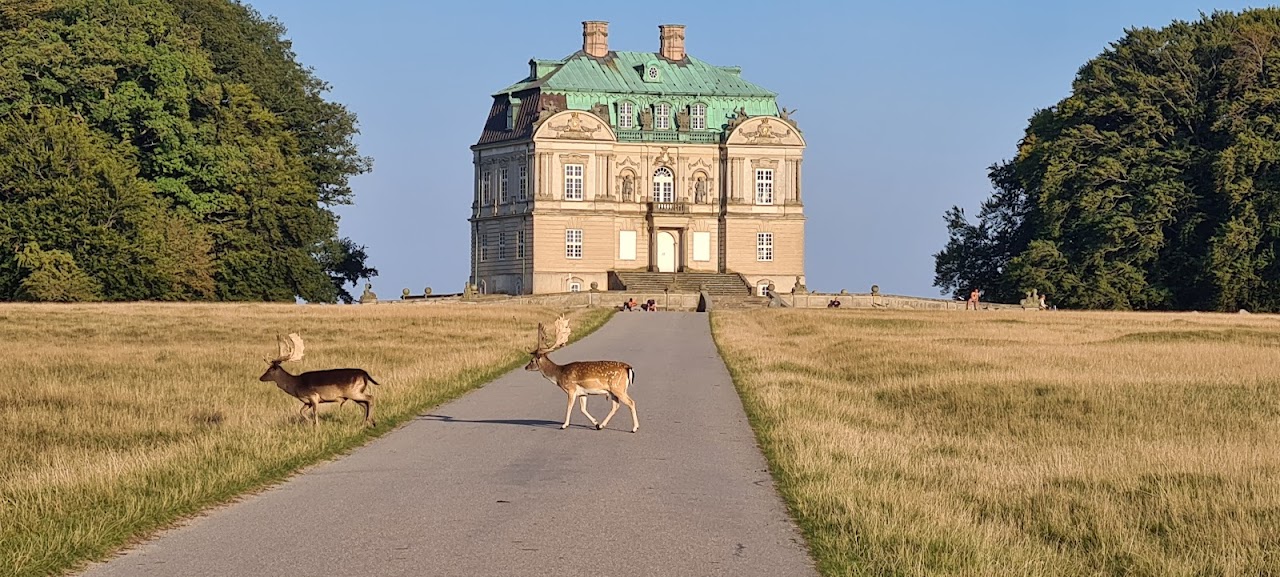 Jægersborg Dyrehave