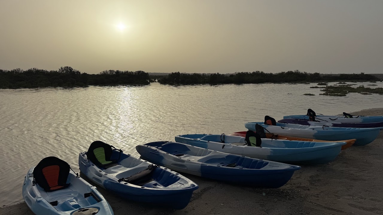 AquaSports Qatar Eco Camp | Mangrove Kayaking | Learning Hub | Teambuilding | School Trips | Purple Island 🏝️مخيم أكواسبورتس