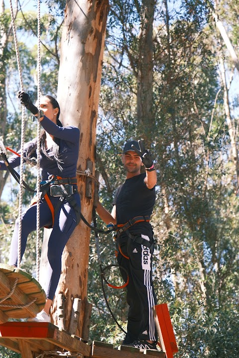 Acrobranch Stellenbosch — Cape Town experience