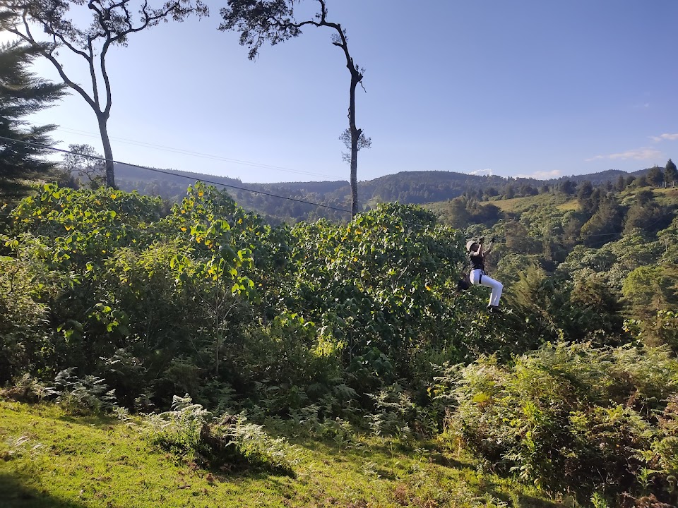 The Forest Adventure Centre and Restaurant